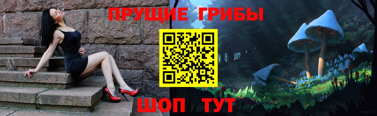 дарнет шоп  Вход с VPN  Кумертау  Галлюциногенные грибы Cubensis 