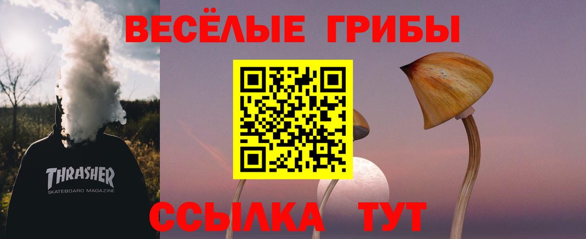 Галлюциногенные грибы GOLDEN TEACHER Кумертау